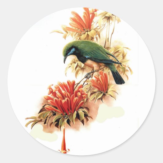 Tropische Splendor Ronde Sticker (Voorkant)