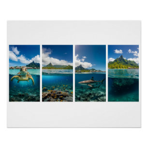 Tropische Split-View Poster – Onder water & Eiland