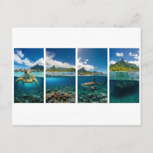 Tropische Split-View Poster – Onderwater & Eiland Briefkaart