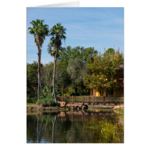 Tropische Springs Paradise