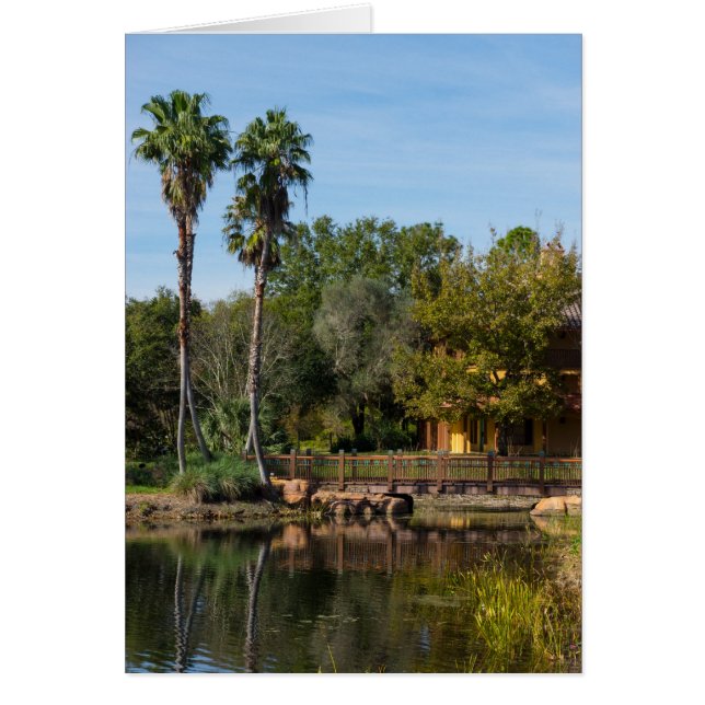 Tropische Springs Paradise (Voorkant)