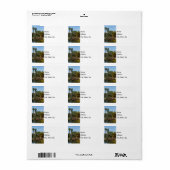 Tropische Springs Paradise Etiket (Full Sheet)