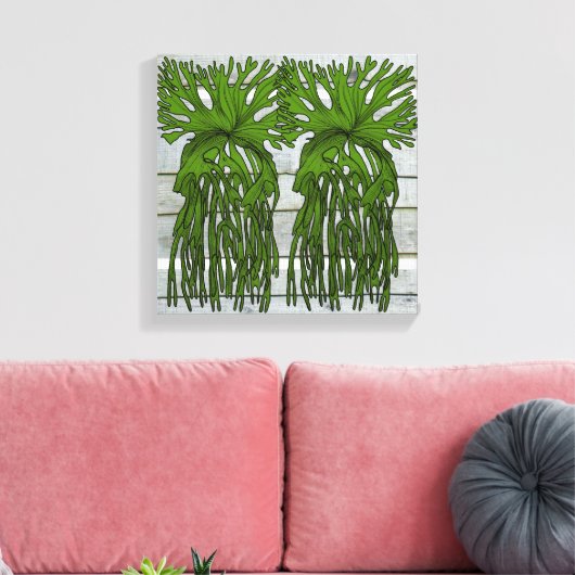 Tropische staghornvaren canvas afdruk (Insitu (Woonkamer))