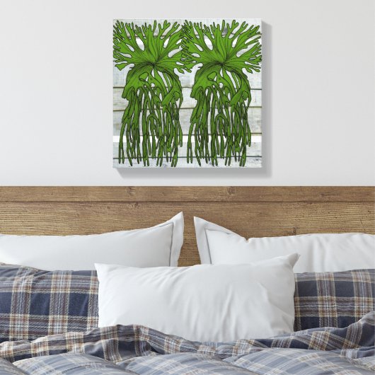 Tropische staghornvaren canvas afdruk (Insitu (Slaapkamer))