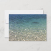 Tropische stekelbaardders stranden RSVP (Achterkant)