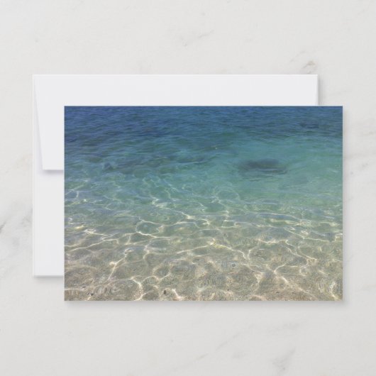 Tropische stekelbaardders stranden RSVP (Achterkant)