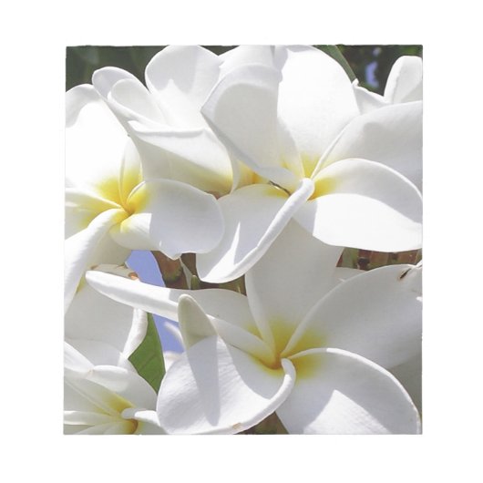 Tropische stekelstaartebloemen notitieblok (Voorkant)