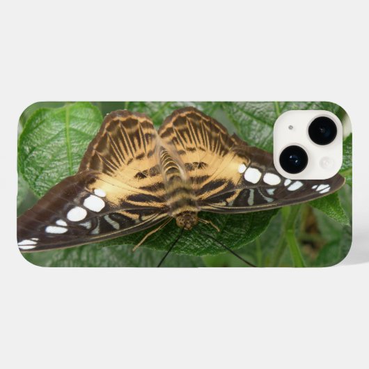 tropische stekelvlinder Case-Mate iPhone case (Achterkant (horizontaal))
