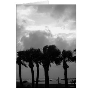 Tropische storm Skies Grayscale