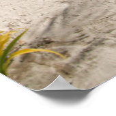 Tropische stranden | Boracay Filipijnen Poster (Hoek)