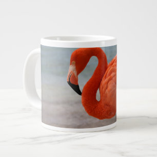 Tropische Stranden Caribische Flamingo, Aruba Grote Koffiekop