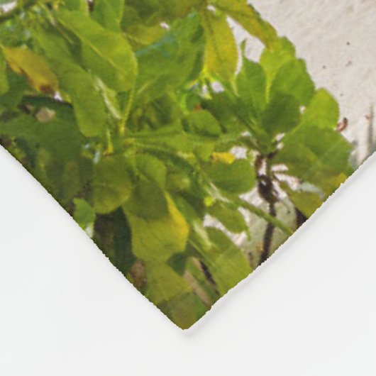 Tropische stranden | Maldiven Island Wooden Jetty Fleece Deken (Hoek)