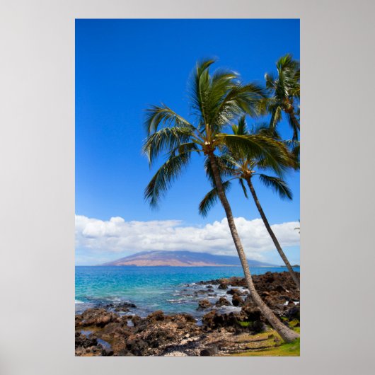 Tropische stranden | Maui Hawaii Poster (Voorkant)