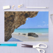 Tropische strandkust met een Big Rock Tissuepapier (Craft)