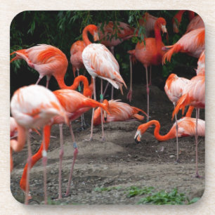 Tropische strandvogels Destiny Flamingo's Bier Onderzetter