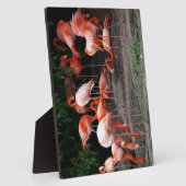 Tropische strandvogels Destiny Flamingo's Fotoplaat (Zijkant)