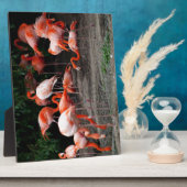 Tropische strandvogels Destiny Flamingo's Fotoplaat (Zijkant)