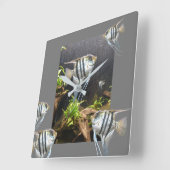 Tropische strips tegen de muur vierkante klok (Hoek)