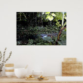 Tropische stromen poster (Keuken)