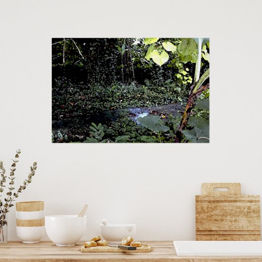 Tropische stromen poster (Keuken)