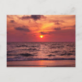 Tropische Sunset Napels, Briefkaart van Florida (Voorkant)