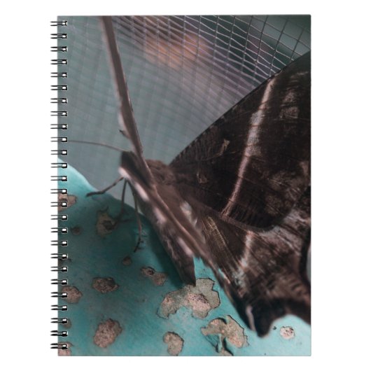 Tropische Swallowtail Mot Notitieboek (Voorkant)