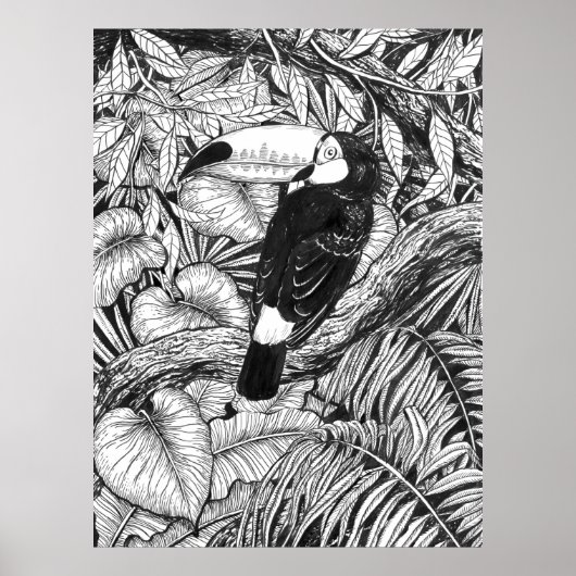 Tropische toekan tuin poster (Voorkant)
