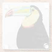 Tropische Toucan Bird Glazen Onderzetter (Achterkant)