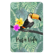 Tropische Toucan Pura Vida Design