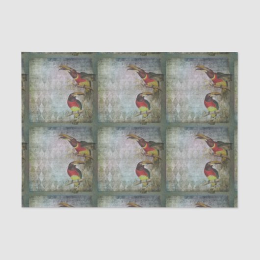 Tropische toucan tissuepapier (Voorkant)