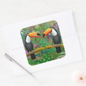 Tropische Toucans in Oerwouden Stickers (Envelop)