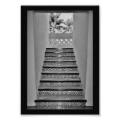 Tropische trap foto afdruk (Voorkant)