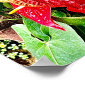 Tropische tuin met rode bloem poster (Hoek)