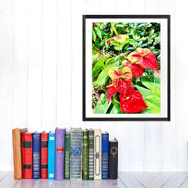 Tropische tuin met rode bloem poster