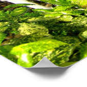 Tropische tuin onder glas poster (Hoek)