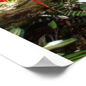 Tropische tuin poster (Hoek)