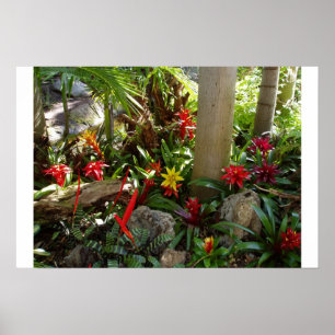 Tropische tuin poster
