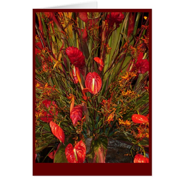 tropische uitbarsting (Voorkant)