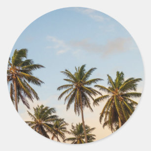 Tropische vakantie palmbomen ronde sticker