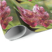 Tropische Vanda Orchid Cluster Cadeaupapier (Rol Hoek)
