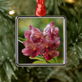 Tropische Vanda Orchid Cluster Metalen Ornament