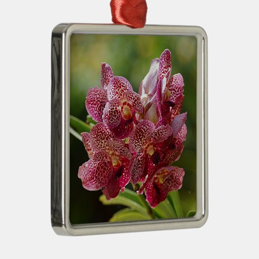 Tropische Vanda Orchid Cluster Metalen Ornament (Rechts)