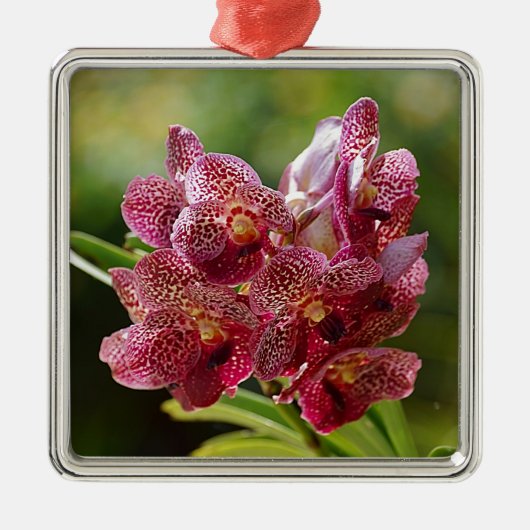 Tropische Vanda Orchid Cluster Metalen Ornament (Voorkant)