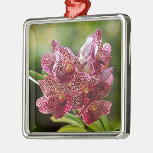 Tropische Vanda Orchid Cluster Metalen Ornament (Links)