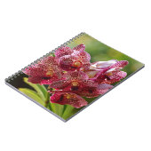 Tropische Vanda Orchid Cluster Notitieboek (Linkerzijde)