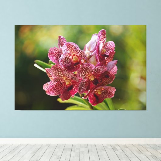 Tropische Vanda Orchidee Canvas Afdruk (Insitu (Houten vloer))