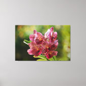 Tropische Vanda Orchidee Canvas Afdruk (Voorkant)