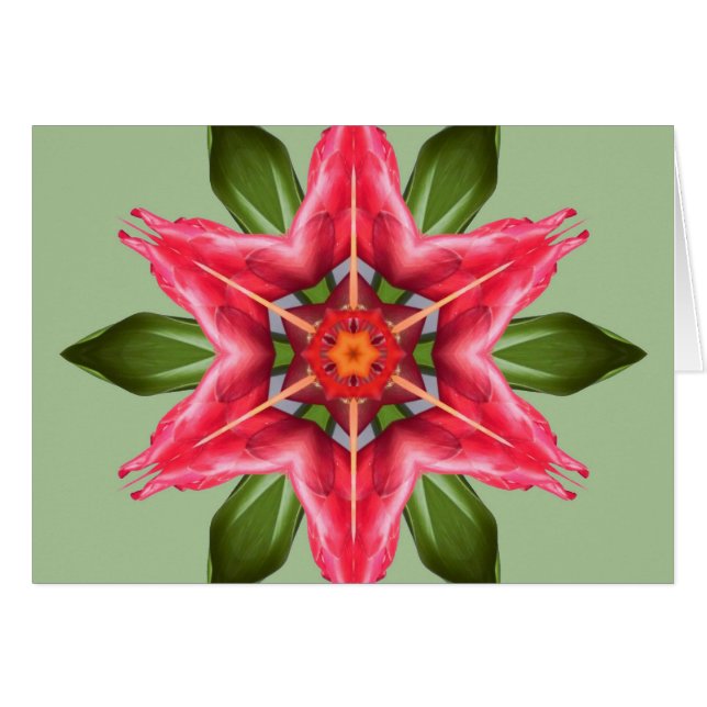 Tropische ventilator (Voorkant Horizontaal)