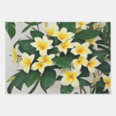 Tropische ventilator inpakpapier vel (Voorkant)