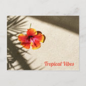 Tropische virussen Hibiscus Briefkaart (Voorkant)